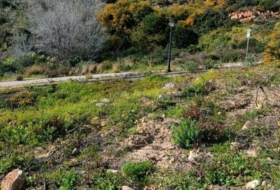 San Roque 420&nbsp;m² 