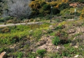 Parcel·la urbanitzable en venda a la España, San Roque, ref.: TR236661 foto