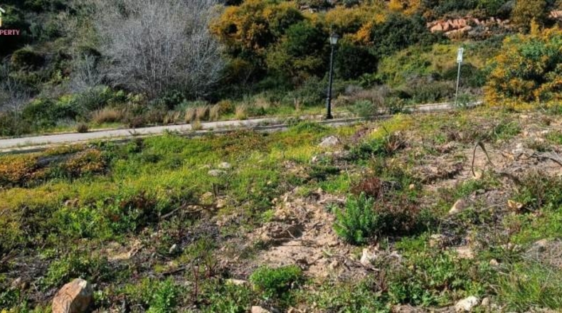 Cadiz - San Roque - 420m2