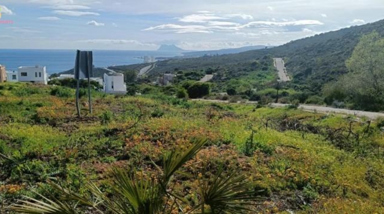 Cadiz - San Roque - 420m2