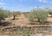 Casa amb terreny en venda a la España, Vinaròs, ref.: TR212294 foto
