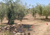 Casa amb terreny en venda a la España, Vinaròs, ref.: TR212294 foto