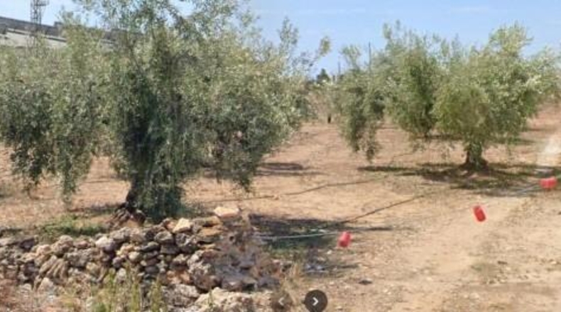 Castellón - Vinaroz - 22m2
