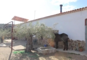 Xalet independent amb terreny en venda a la España, Pozoblanco, ref.: TR232203 foto