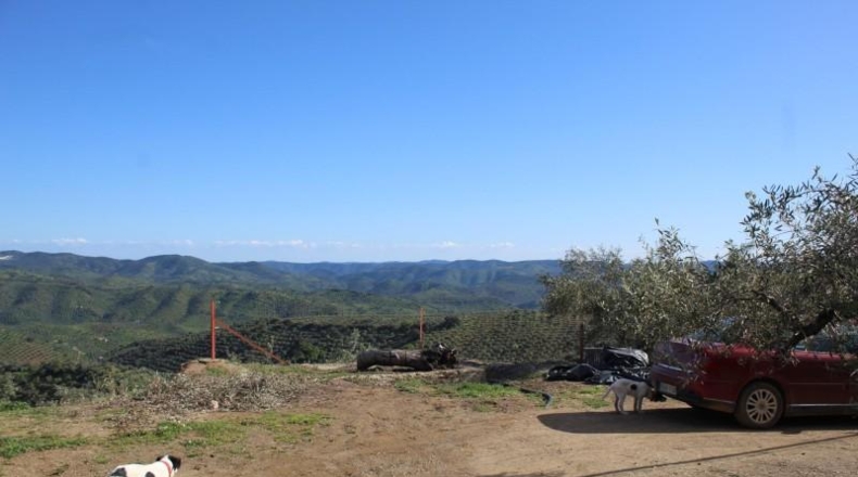 Cordova - Pozoblanco - 99000m2