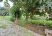 Casa con terreno en venta en la España, Murcia, ref: TR349437 foto