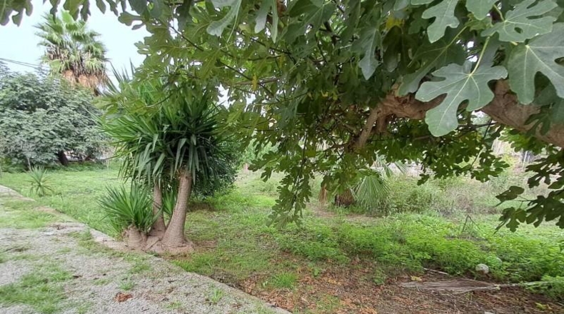 Мурсия - Murcia - 1800m2