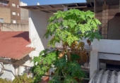 Casa de pueblo en venta en la España, Murcia, ref: TR355375 foto