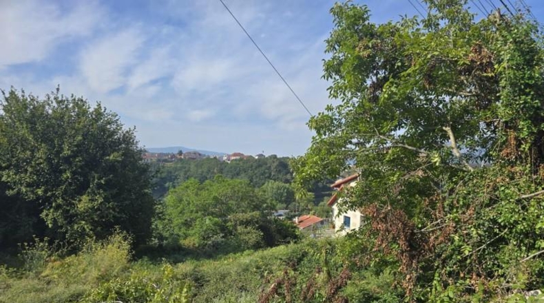 Pontevedra - Pontevedra - 1387m2