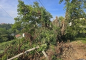Land suitable for development for sale on España, Pontevedra, ref: TR352333 photo
