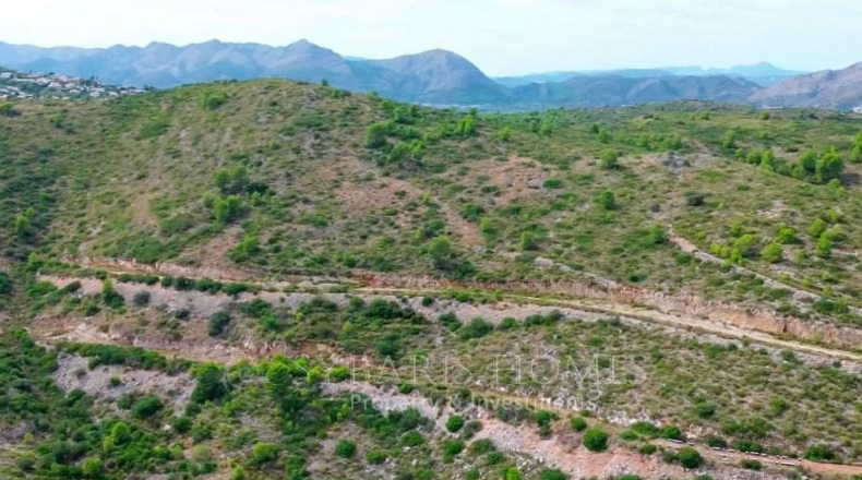 Alicante - Pedreguer - 756m2