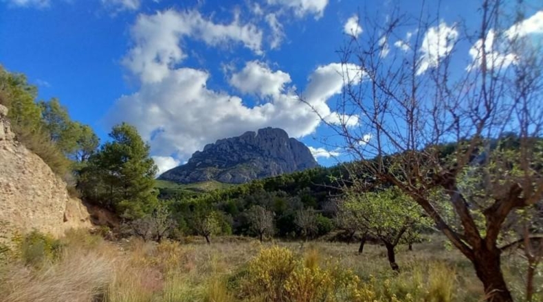 Alicante - Finestrat - 27800m2