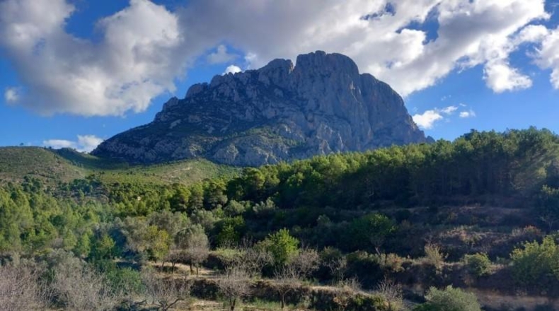 Alicante - Finestrat - 27800m2
