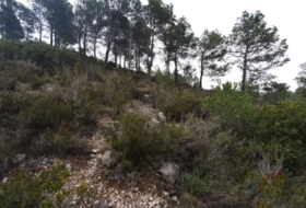 Foto 13