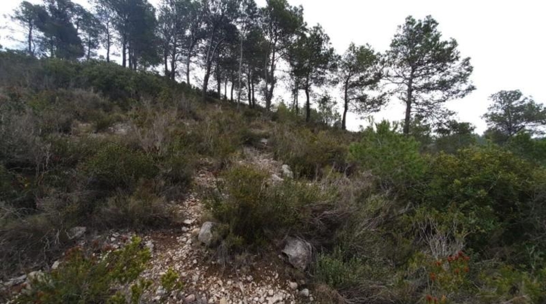Alicante - Finestrat - 27800m2