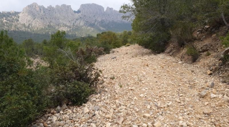 Alicante - Finestrat - 27800m2