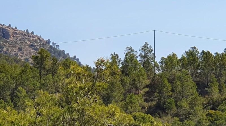 Alicante - Finestrat - 27800m2