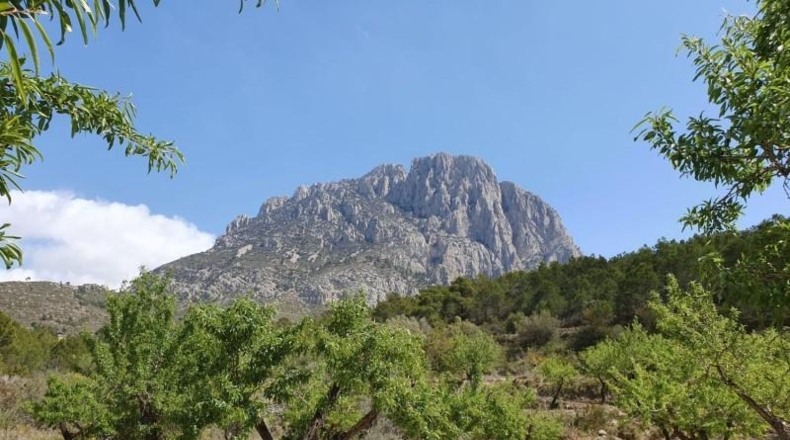 Alicante - Finestrat - 27800m2