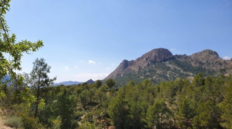 Alicante - Finestrat - 27800m2