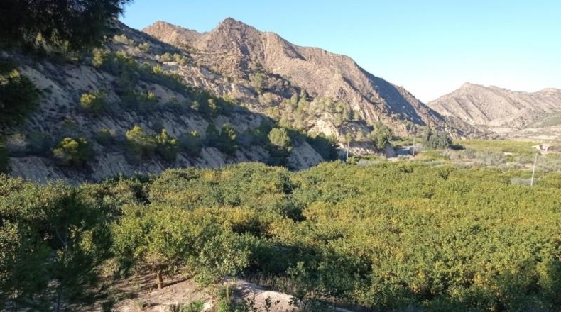 Murcia - Murcia - 17100m2