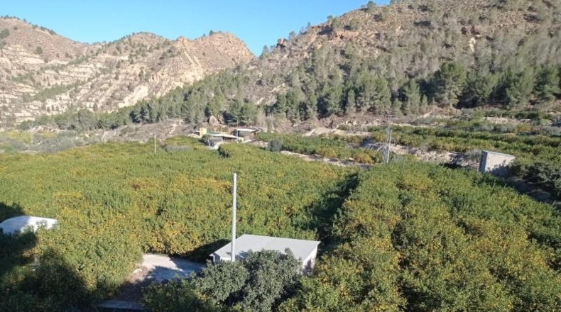 Murcia - Murcia - 17100m2