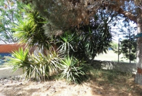 Foto 11
