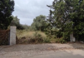 Terreno no urbanizable en venta en la España, Pedreguer, ref: TR130830 foto