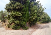 Terreno no urbanizable en venta en la España, Pedreguer, ref: TR130830 foto
