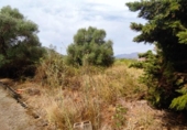Terreno no urbanizable en venta en la España, Pedreguer, ref: TR130830 foto
