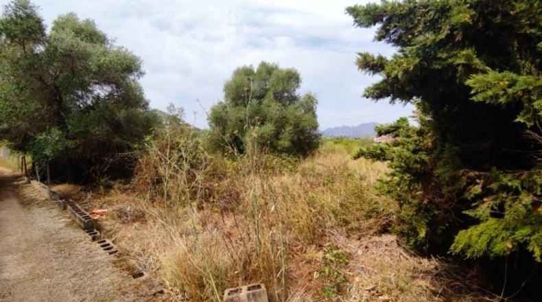 Alicante - Pedreguer - 12000m2