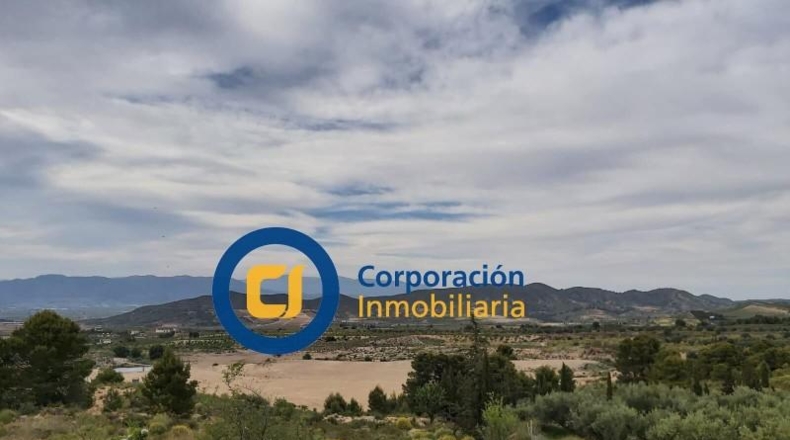 Murcia - Lorca - 17000m2