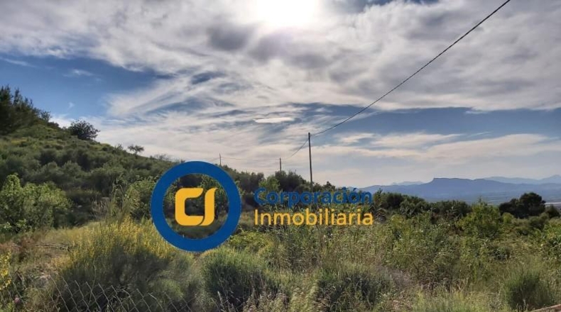 Murcia - Lorca - 17000m2