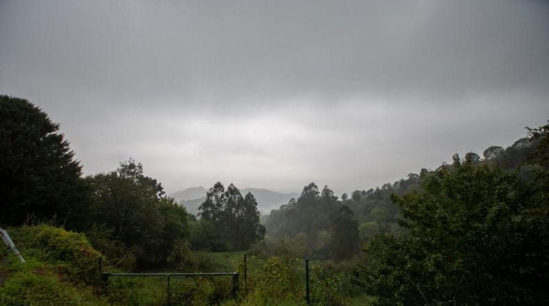 Astúries - Carranques - 9151m2