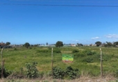 Terreny no urbanitzable en venda a la España, Chipiona, ref.: TR128814 foto