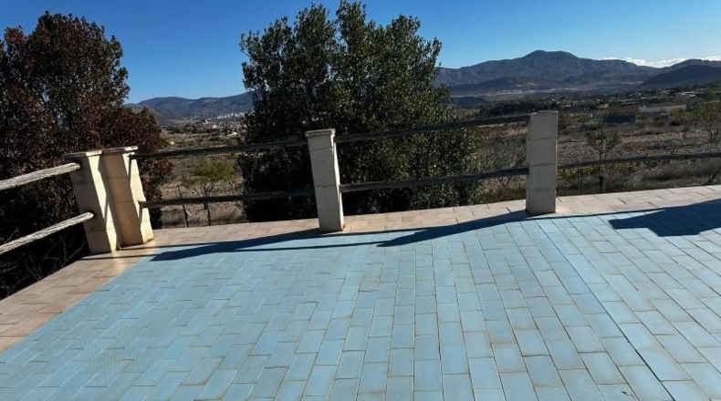 Alicante - Monóvar - 14000m2