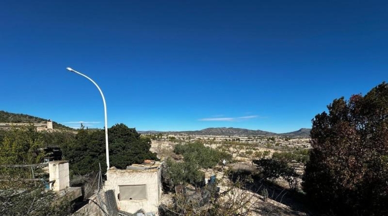 Alicante - Monóvar - 14000m2