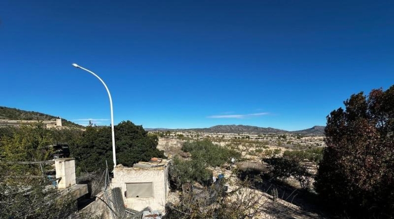 Alicante - Monóvar - 14000m2