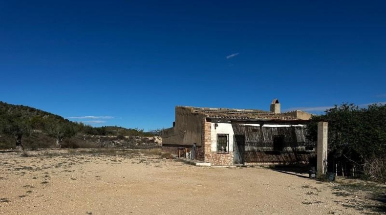 Alicante - Monóvar - 14000m2