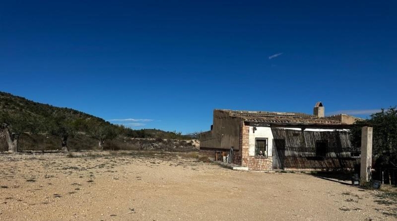 Alicante - Monóvar - 14000m2