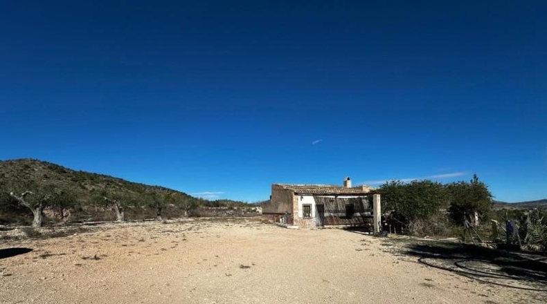 Alicante - Monóvar - 14000m2