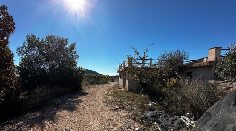 Alicante - Monóvar - 14000m2