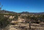 Chalet independiente con terreno en venta en la España, Monóvar, ref: TR243229 foto