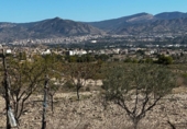 Chalet independiente con terreno en venta en la España, Monóvar, ref: TR243229 foto