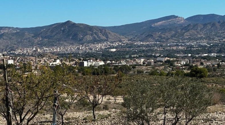 Alicante - Monóvar - 14000m2