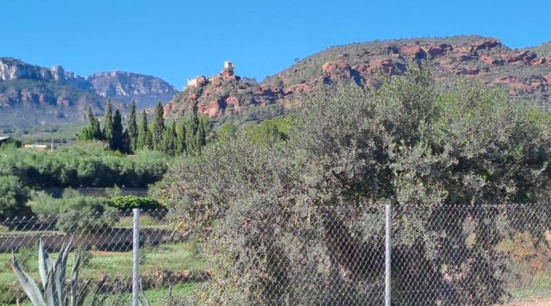 Tarragona - Mont-roig del Camp - 10361m2