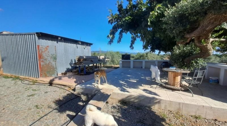 Tarragona - Mont-roig del Camp - 10361m2