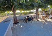 Terreny no urbanitzable en venda a la España, Mont-roig del Camp, ref.: TR182029 foto