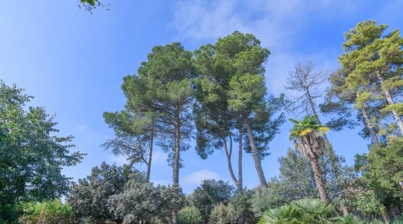 Barcelona - Sant Fruitós de Bages - 493m2