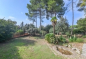 Non-developable land for sale on España, Sant Fruitós de Bages, ref: TR217321 photo