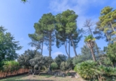 Non-developable land for sale on España, Sant Fruitós de Bages, ref: TR180219 photo